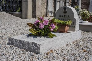 fleurs sur cimetiere